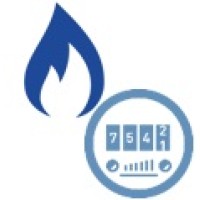 Iegas logo - Similar company to Fimm Srl