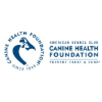 Akc Canine Health Foundation