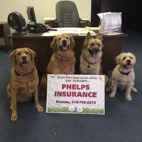 Phelps Insurance Agency logo - Similar company to B2B Sales Representative