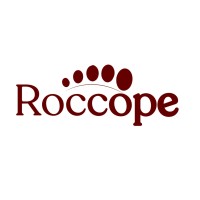 Roccope logo - Similar company to Wn Inforcel