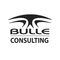 Bulle Consulting logo - Similar company to Langvidy
