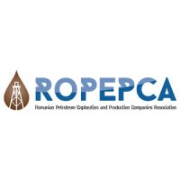 ROPEPCA logo - Similar company to Bytebridge Advisors
