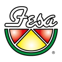 FESA (UK) LTD logo - Similar company to Parallel (Uk)