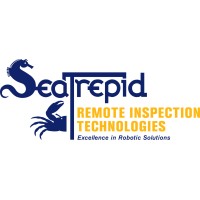 Remote Inspection Technologies Llc