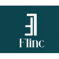 Flinc Tecnologia logo - Similar company to Saturno Software E Sistemas