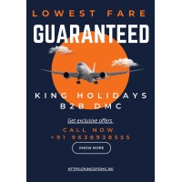 King Holidays B2B DMC Lowest Corporate Flight Rates Provider logo - Similar company to Lark Dmc