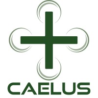 Project CAELUS logo - Similar company to Project Caelus