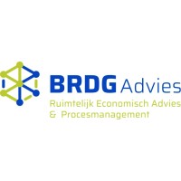 BRDG Advies logo - Similar company to Dzp Adviseurs En Verbinders