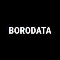 Borodata logo - Similar company to Analytics Ninja Llc