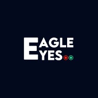 Eagle Eyes logo - Similar company to Web Kingdom