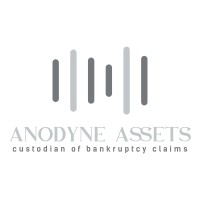 Anodyne Assets logo - Similar company to Priestlands School