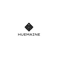 Huemaine logo - Similar company to Cmc Connect Llp (Perception Consulting)