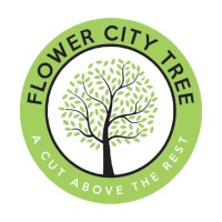 Flower City Tree logo - Similar company to Petersen Hastings Wealth Advisors
