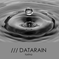 datarain torino logo - Similar company to Infobiz.Com