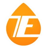 Temir Energy logo - Similar company to Tien-Shan Engineering