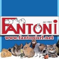 Fantoni srl logo - Similar company to Pawllion Inc