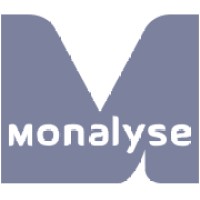 Monalyse logo - Similar company to Cks Software Solutions