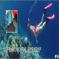 Joy Sports Products Corporation Ltd