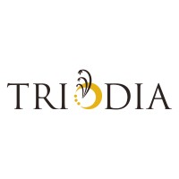 Triodia Energy logo - Similar company to Triodia Group