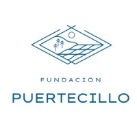 Fundación Puertecillo logo - Similar company to Instituto Sistemas Complejos De Ingeniería