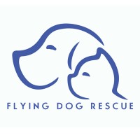 Flying Dog Rescue logo - Similar company to Totally Pawsome