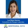 Seintegral SST-MA logo - Similar company to Expert Medica