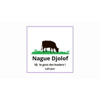 Nague Djolof logo - Similar company to Maraîchage Sol Vivant