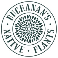 Buchanan's Native Plants logo - Similar company to Rootivate.Tgr