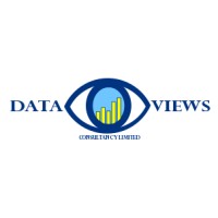 Data Views logo - Similar company to Data View - Llc