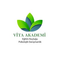Vita Akademi logo - Similar company to Medyatik Interactive Solutions