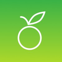 Limón Lab logo - Similar company to Flisol Perú