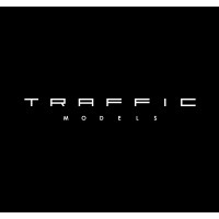 TRAFFIC MODELS SL logo - Similar company to Best Version 1