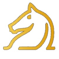 Damascus Sport logo - Similar company to Thought Bubble Design Studio