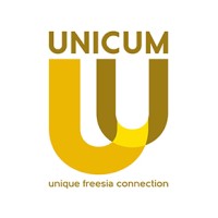 Unicum Freesia