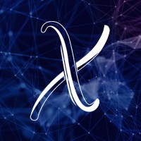 X-Company logo - Similar company to X-Consulting