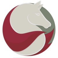 HorseSinergia logo - Similar company to Fps Navigator