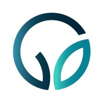 Valors International logo - Similar company to Emerald Life