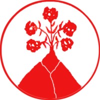 Procacci SRL logo - Similar company to Proda S.P.A.