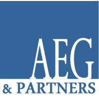 AEG & Partners Srl logo - Similar company to Termocer