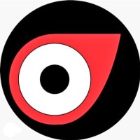 Odindo Global Private Limited logo - Similar company to Preditech Solution Pvt. Ltd.
