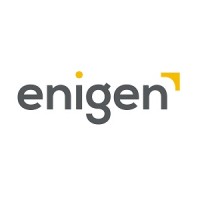 Enigen logo - Similar company to Ekdham