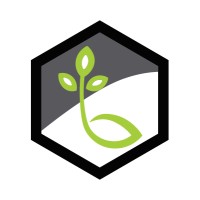 Life Bridge Capital logo - Similar company to Hlm Consulting And Implementation