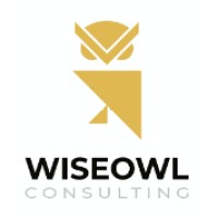 WiseOwl Consulting LLP logo - Similar company to Kangro