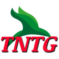 TECHNICAL NON TECHNICAL GROUP logo - Similar company to Digitalx Infoway