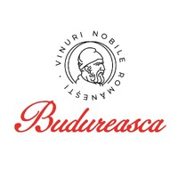 Budureasca logo - Similar company to Jidvei