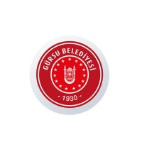Gürsu Arge logo - Similar company to Gürsu Belediyesi