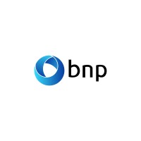 BNP - Soluções em TI logo - Similar company to Guidelineit