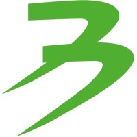 Bingo Systems logo - Similar company to Level8 Gmbh