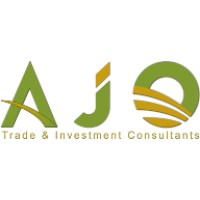 AJO Management Consulting logo - Similar company to Cds Management Consulting
