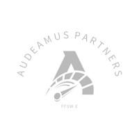 Audeamus Partners logo - Similar company to Vtek Systems